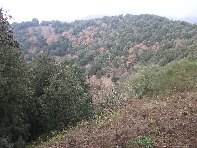Monte Ilice